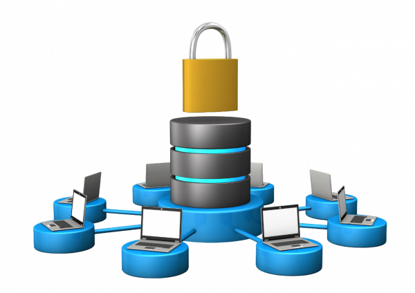 База эталонных рентгенограмм НОВО «ЭТАЛОН – ВГФ» купить по низкой цене | МАКСПРОФИТ База эталонных рентгенограмм НОВО «ЭТАЛОН – ВГФ» купить по низкой цене | МАКСПРОФИТ