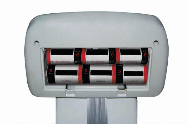 Весы CAS DL-60 купить по низкой цене | МАКСПРОФИТ Весы CAS DL-60 купить по низкой цене | МАКСПРОФИТ